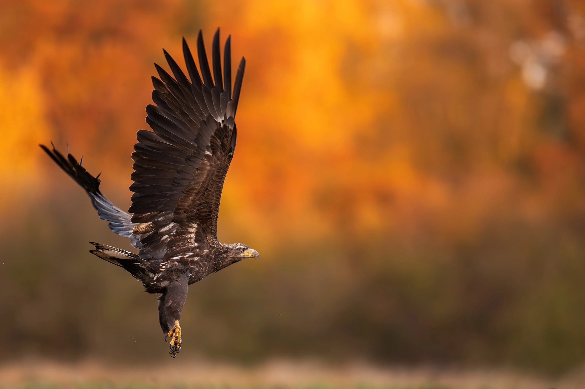 Instagram Post Placeholder